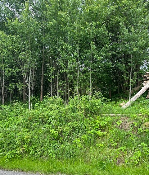 Grundstück zum Kauf, 389 m² (3 von 9)