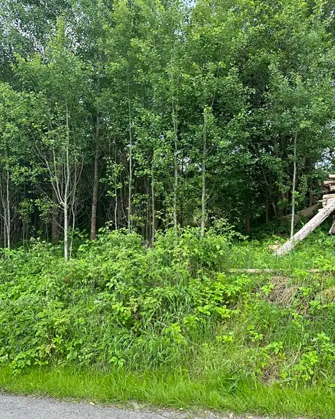 Prodej stavebního pozemku 389 m², Ktiš – náhled fotky 3