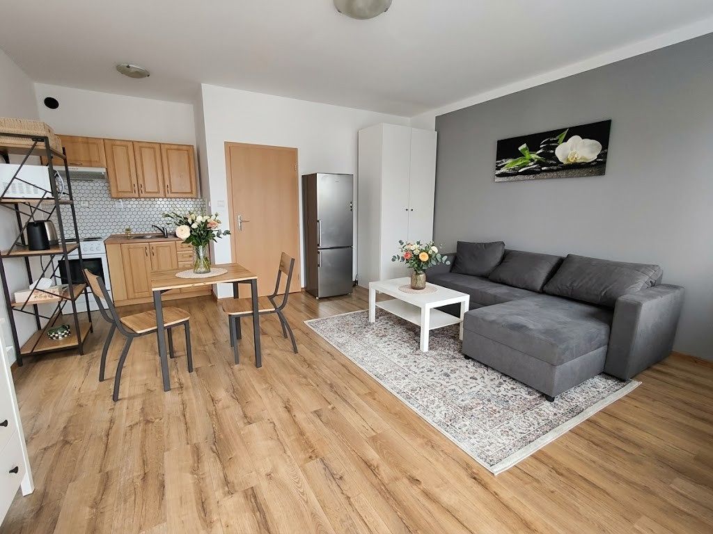 Pronájem bytu 1+kk 36 m²