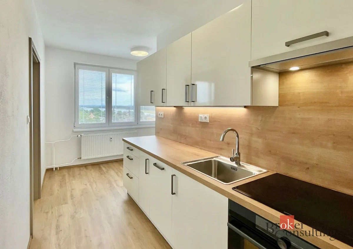 Pronájem bytu 1+1 43 m²