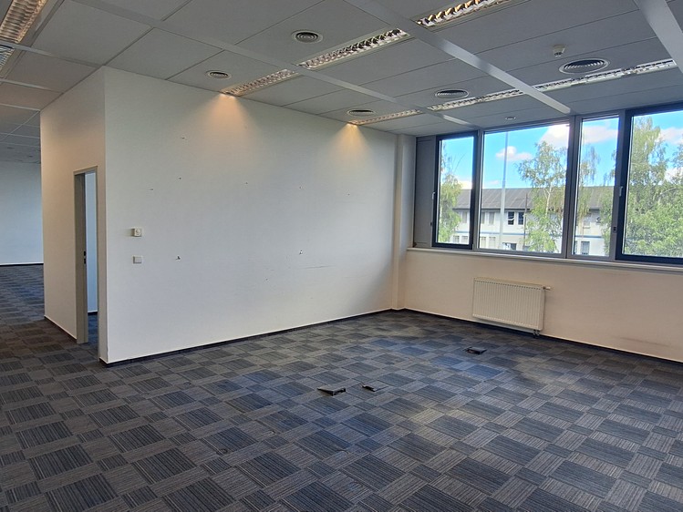 Gewerbefläche zur Miete, 500 m² (5 von 11)
