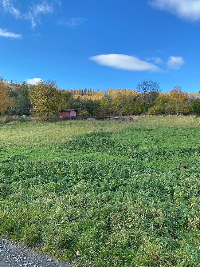 Prodej stavebního pozemku 1840 m² – fotografie 3