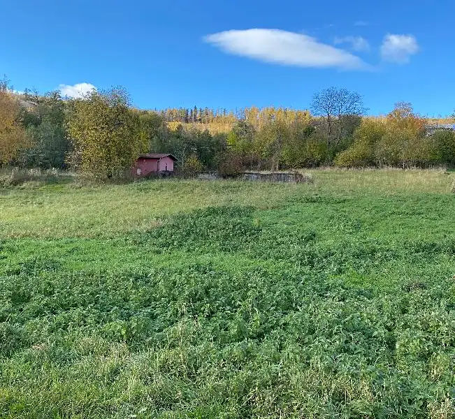 Prodej stavebního pozemku 1840 m², Město Albrechtice – náhled fotky 3