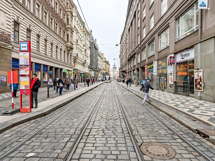 Pronájem komerčního prostoru, 202 m² (15 z 18)