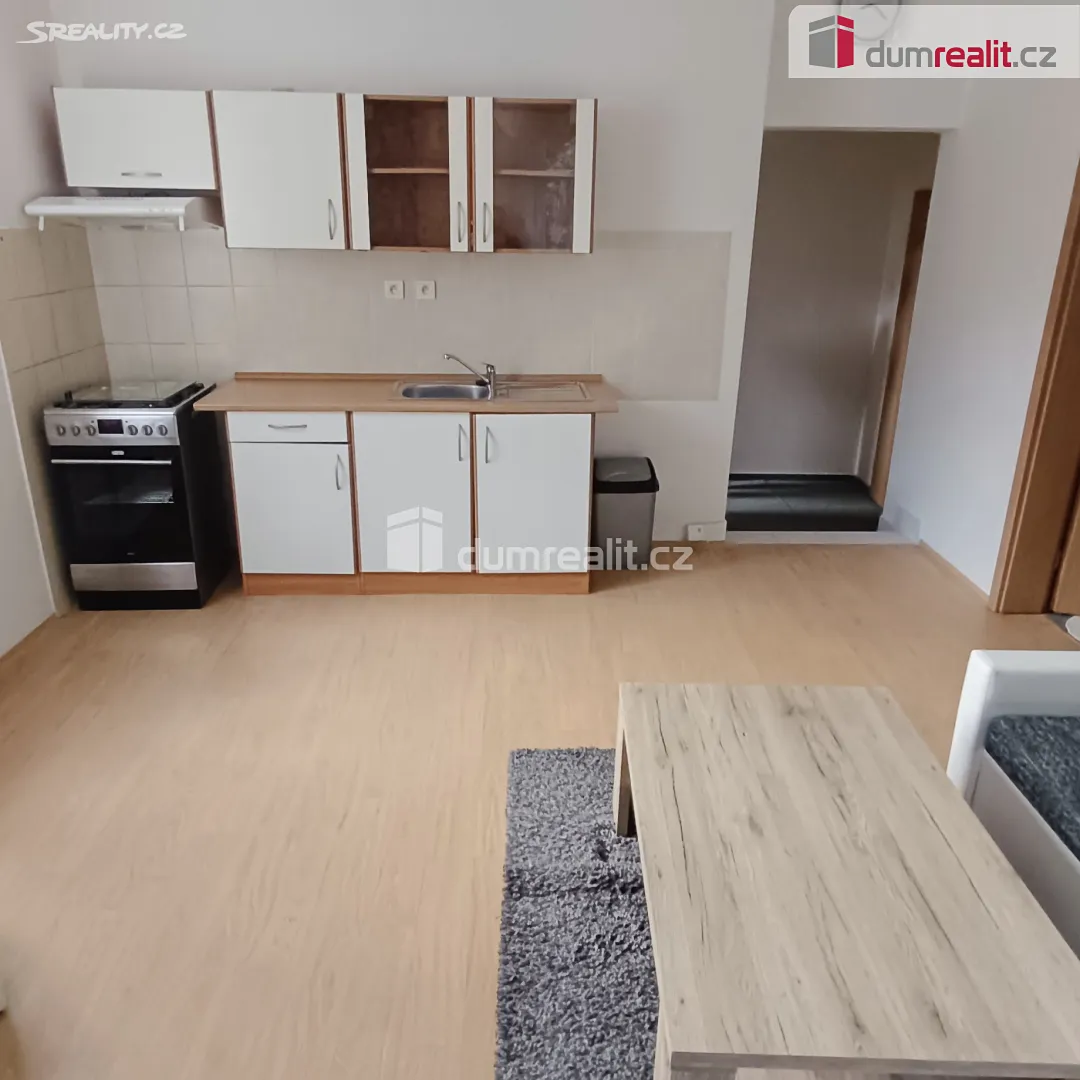 Pronájem bytu 1+1 44 m², Děčín