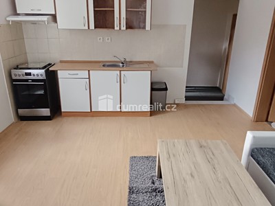 Pronájem bytu 1+1 44 m²