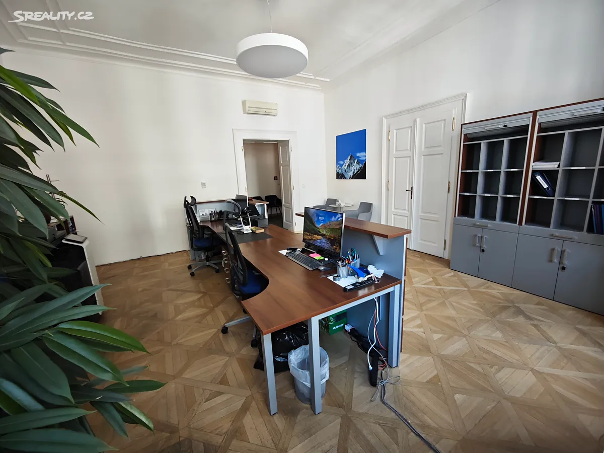 Pronájem kanceláře 250 m² – pohled 5