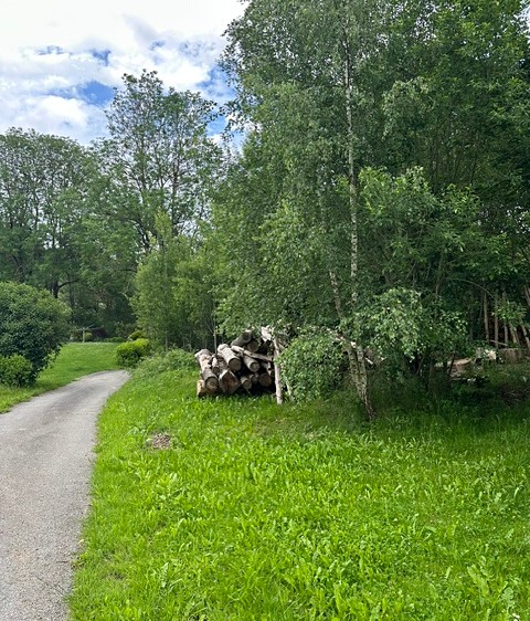 Grundstück zum Kauf, 389 m² (6 von 9)