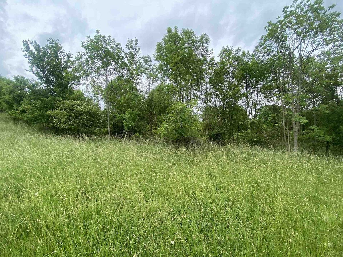 Prodej pole 12772 m² – fotografie 3