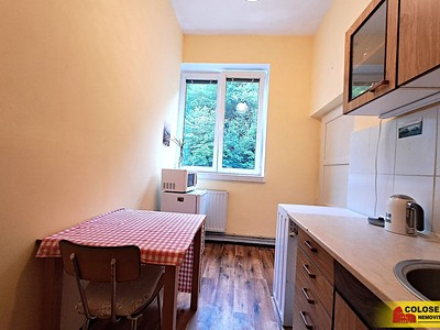 Pronájem bytu 1+1 19 m²