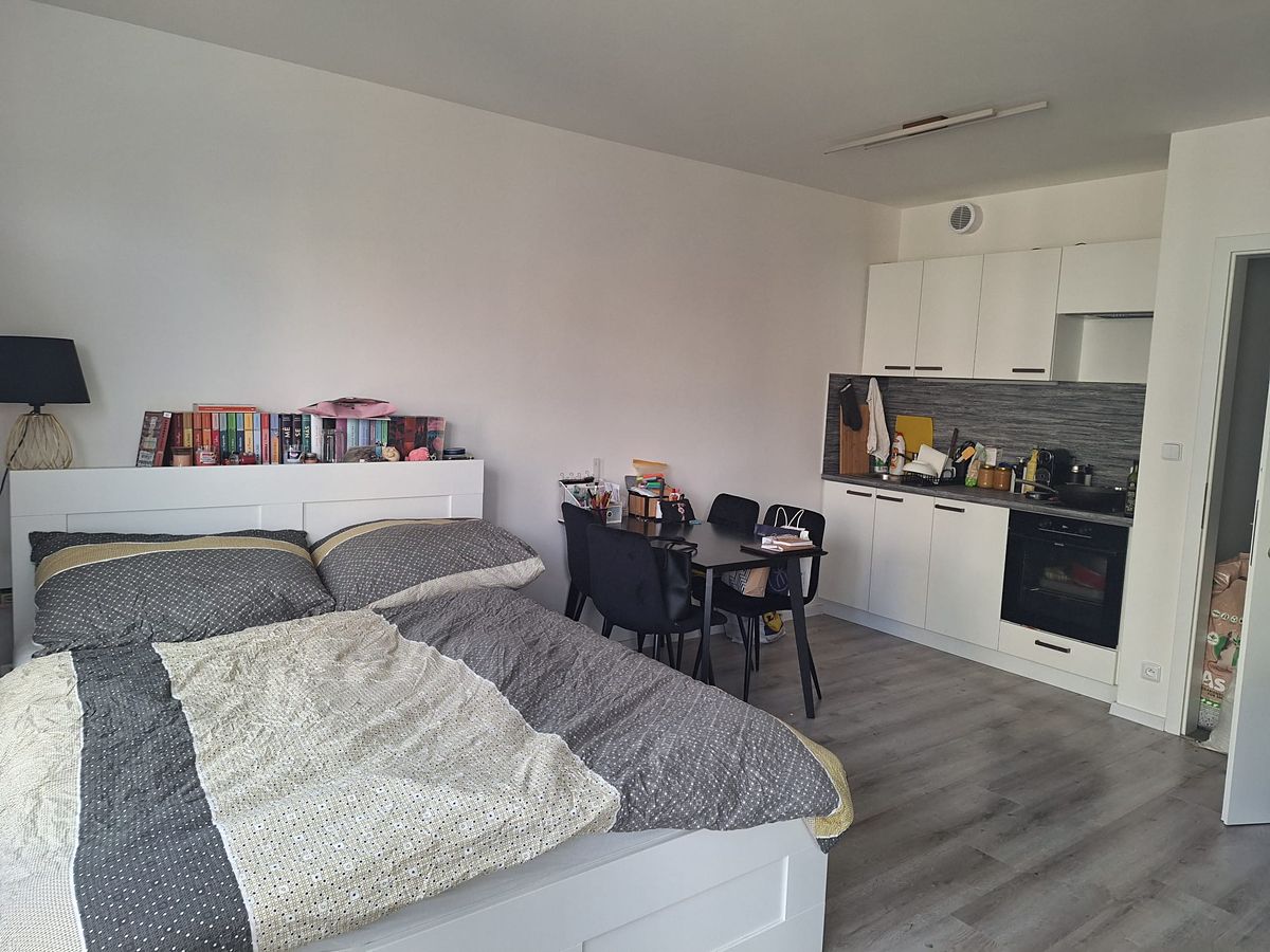 Pronájem bytu 1+kk 33 m²