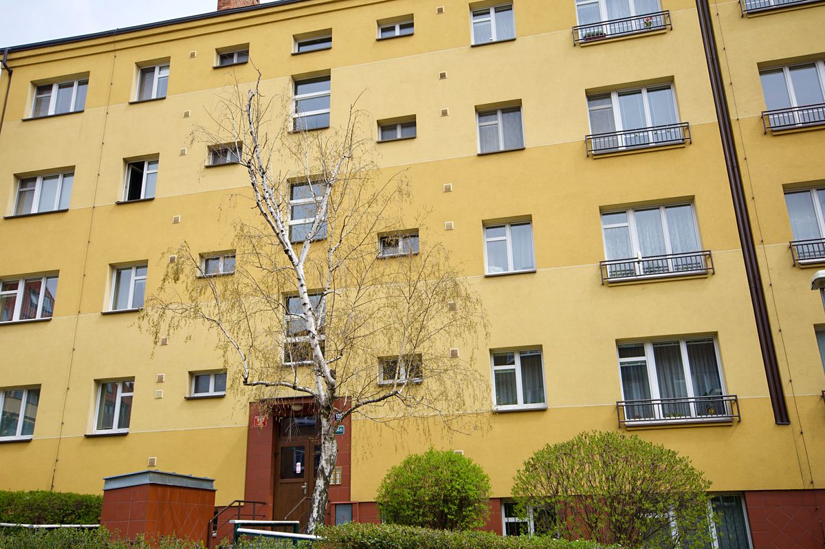 Prodej bytu 1+kk 28 m² – fotografie 2