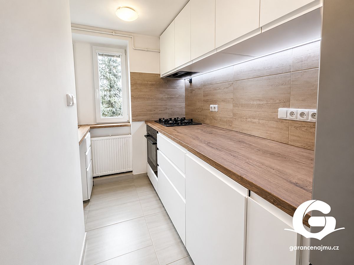 Pronájem bytu 3+1 59 m²