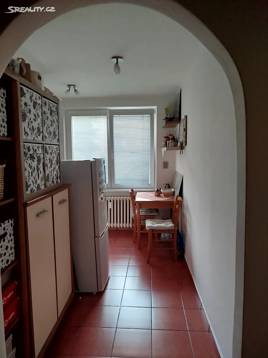 Pronájem bytu 1+1 40 m² – pohled 3