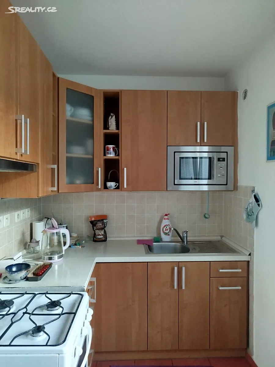 Pronájem bytu 1+1 40 m² – pohled 4