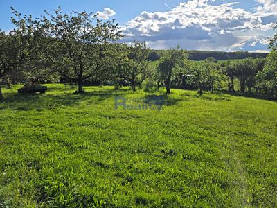 Pronájem zahrady 3673 m²