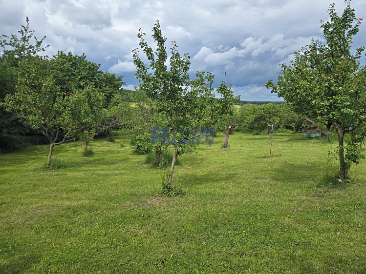 Pronájem pozemku, 3 673 m² (15 z 16)