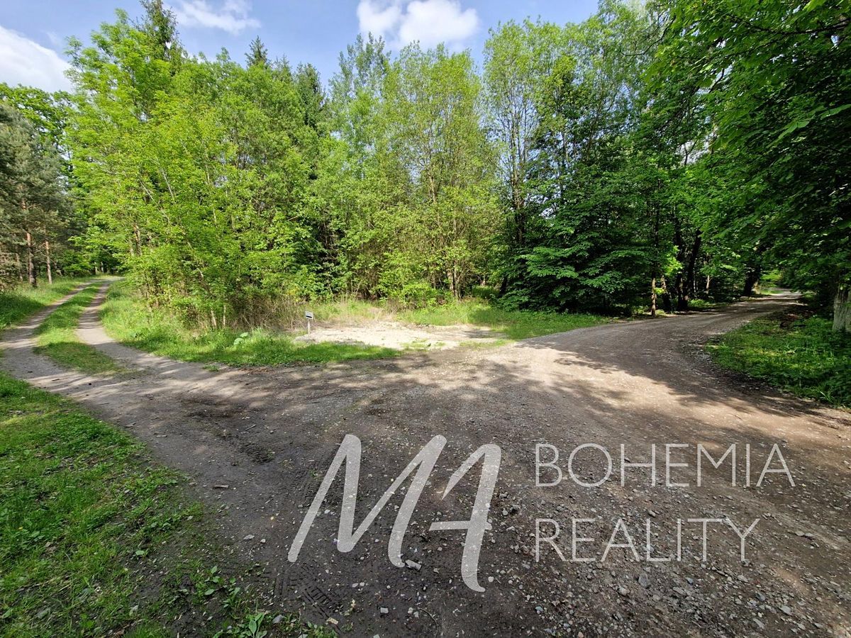Prodej pozemku 15564 m², Jiřice – fotka 1 z 3