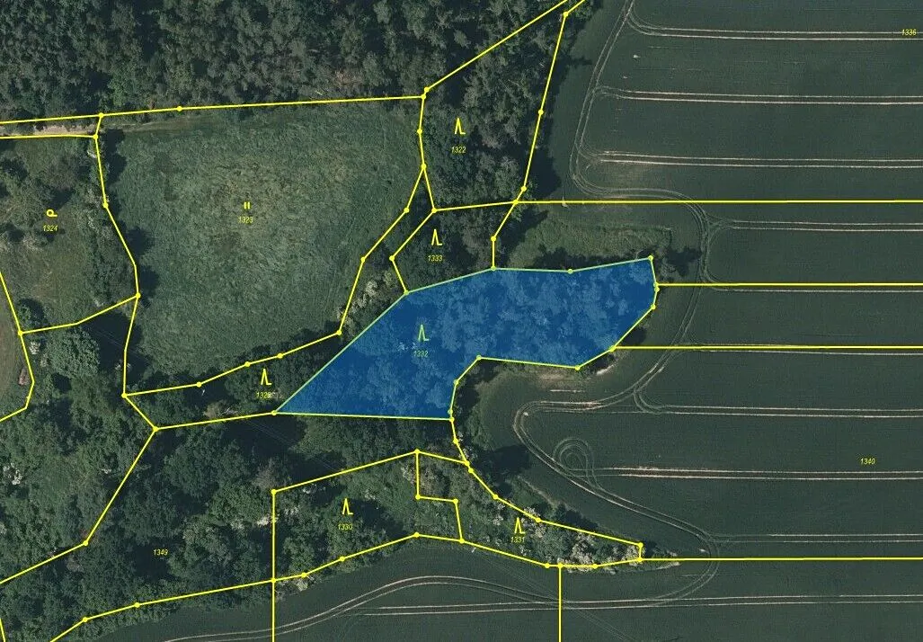 Prodej lesa 2471 m²
