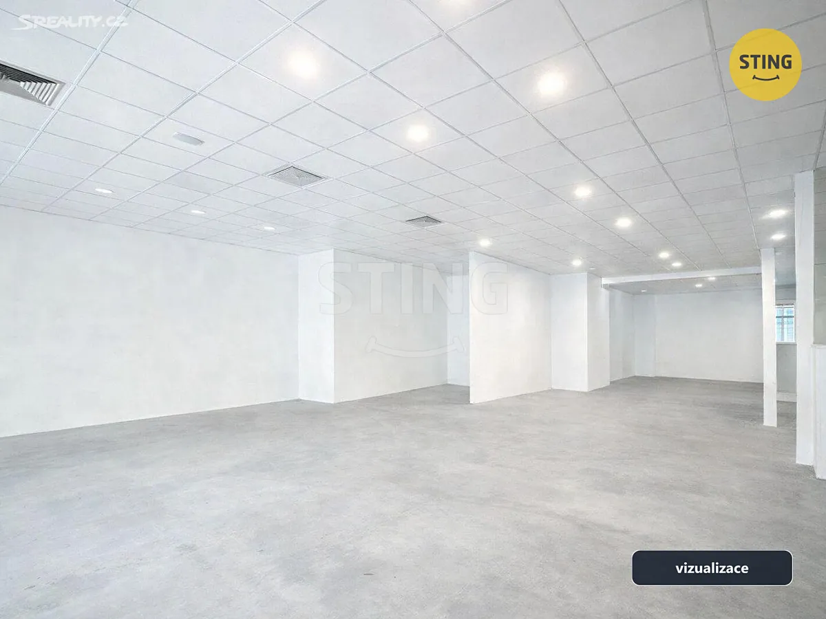 Pronájem obchodního prostoru 220 m² – pohled 3