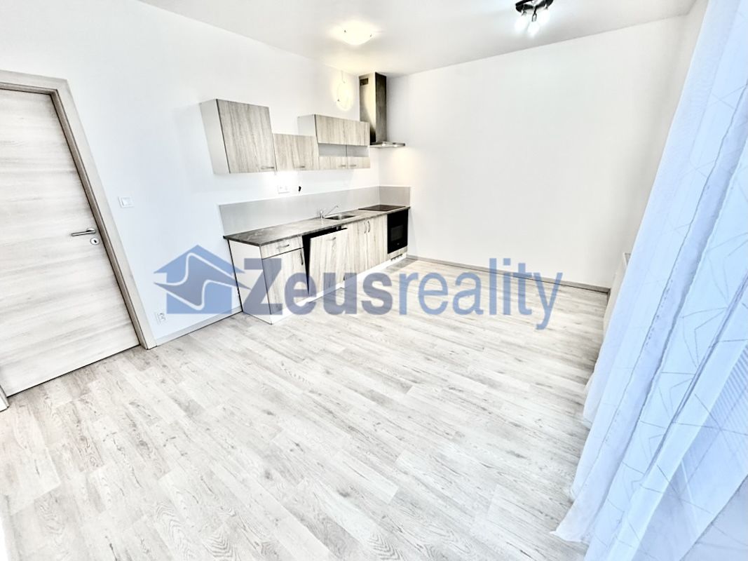 Pronájem bytu 1+1 39 m²