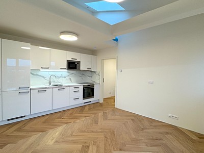 Pronájem bytu 1+kk 42 m²
