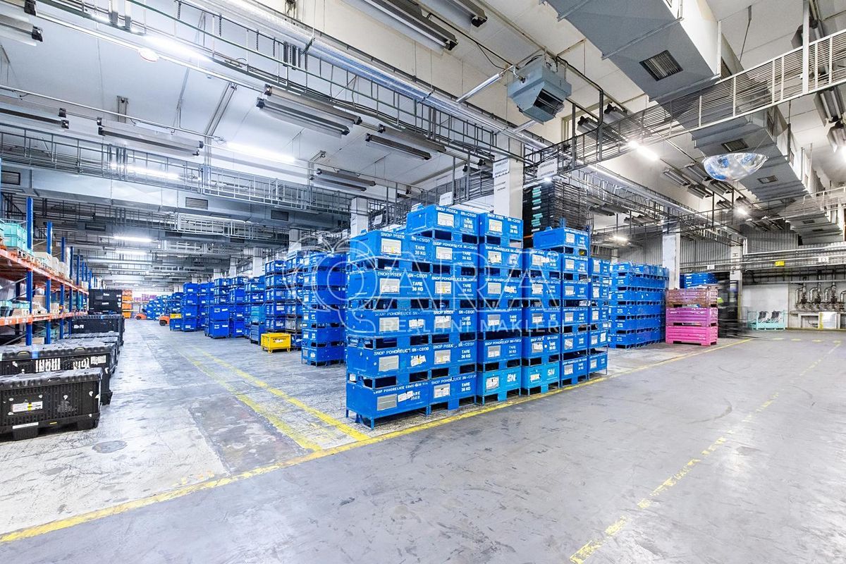 Pronájem výrobní haly, prostoru 6421 m²