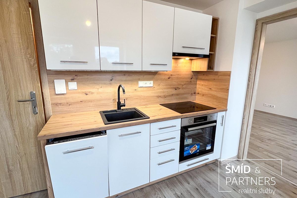 Pronájem bytu 1+1 33 m²
