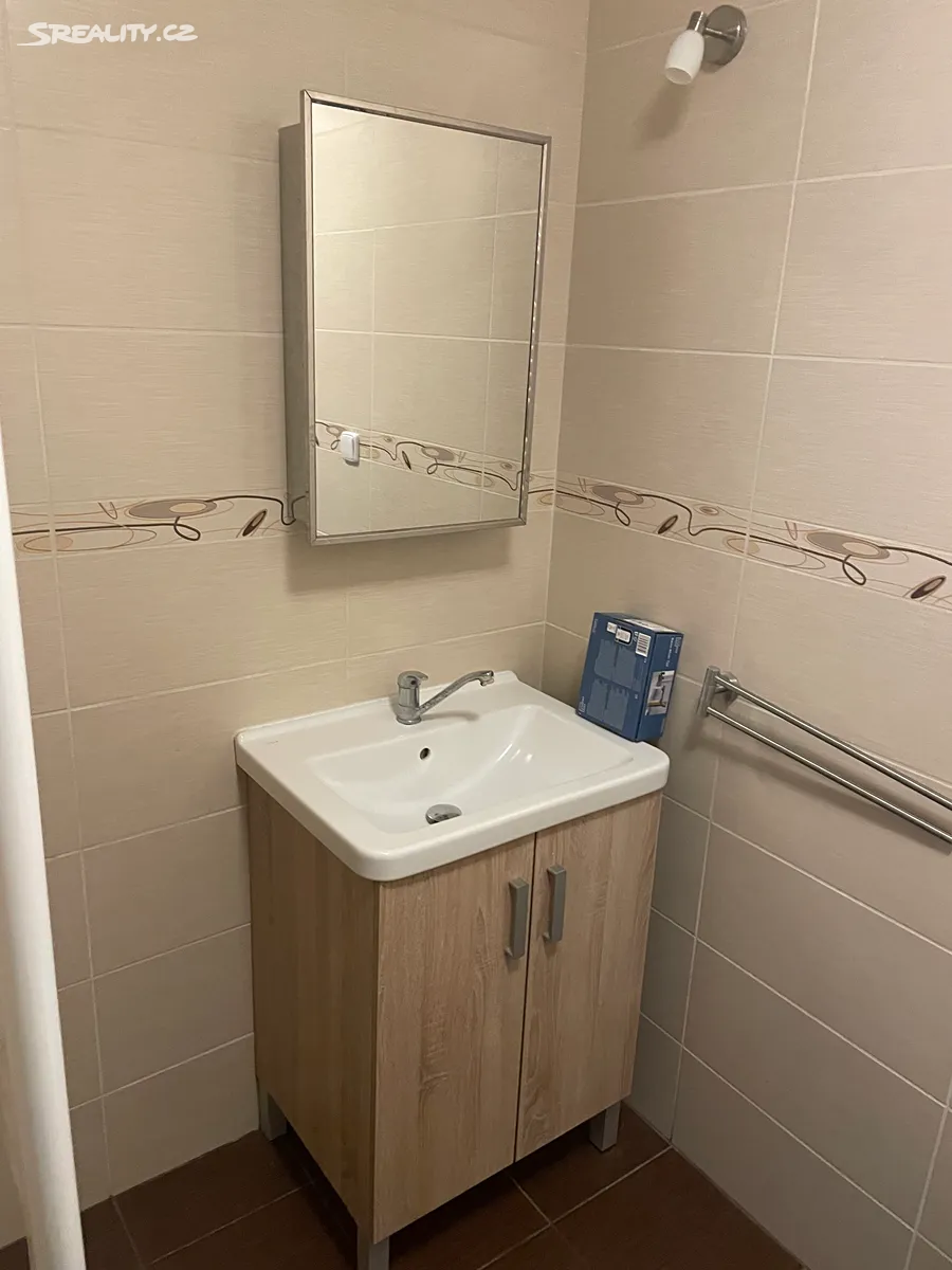 Pronájem bytu 1+1 45 m² – další