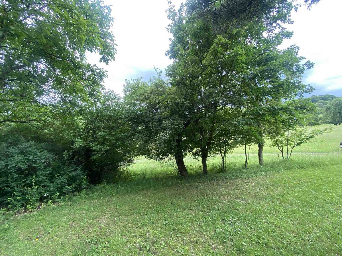Prodej pozemku 343 m²