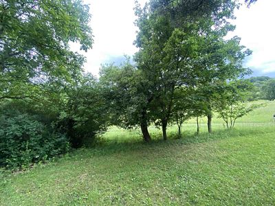 Prodej pozemku 343 m²