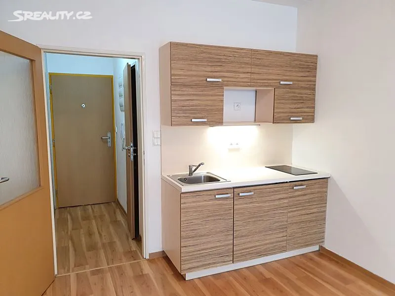 Pronájem bytu 1+kk 30 m², Olomouc