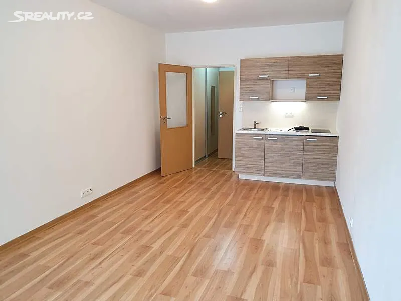 Pronájem bytu 1+kk 30 m² - Widok 3