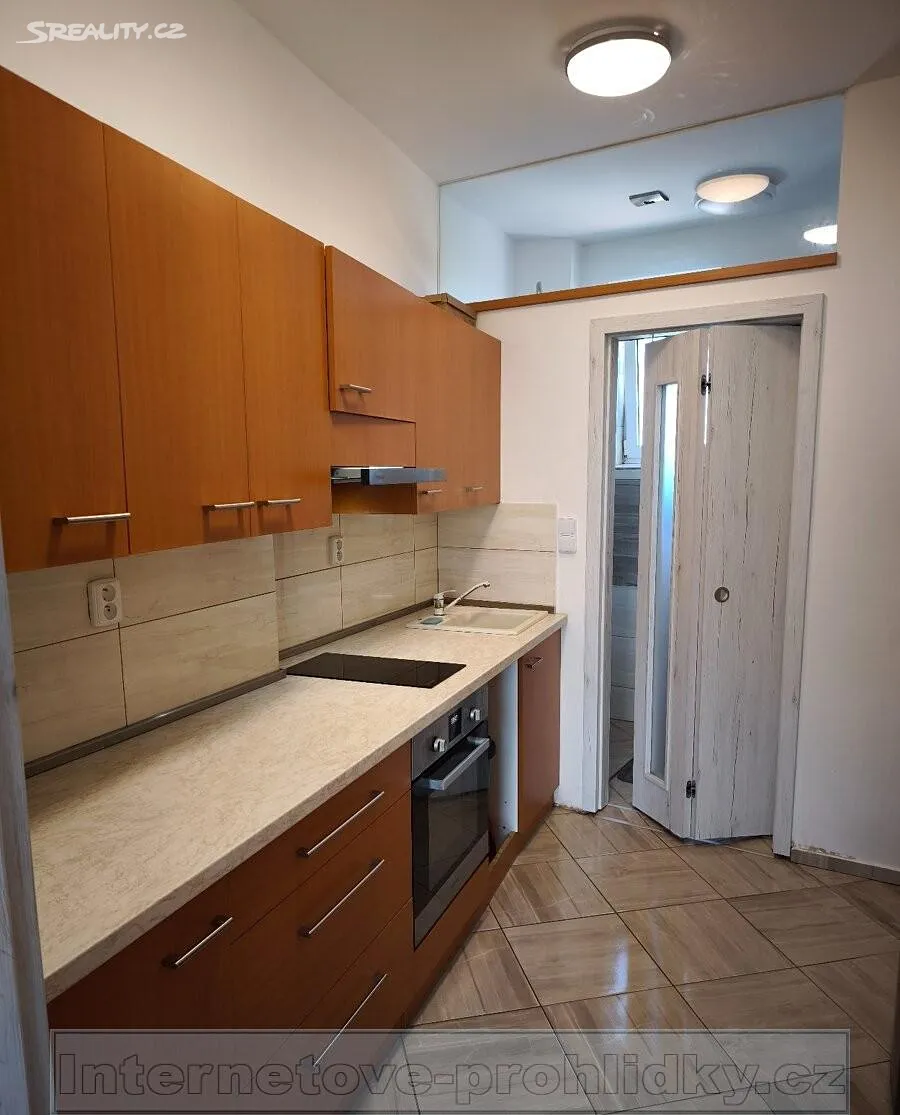 Pronájem bytu 2+1 59 m² – pohled 5