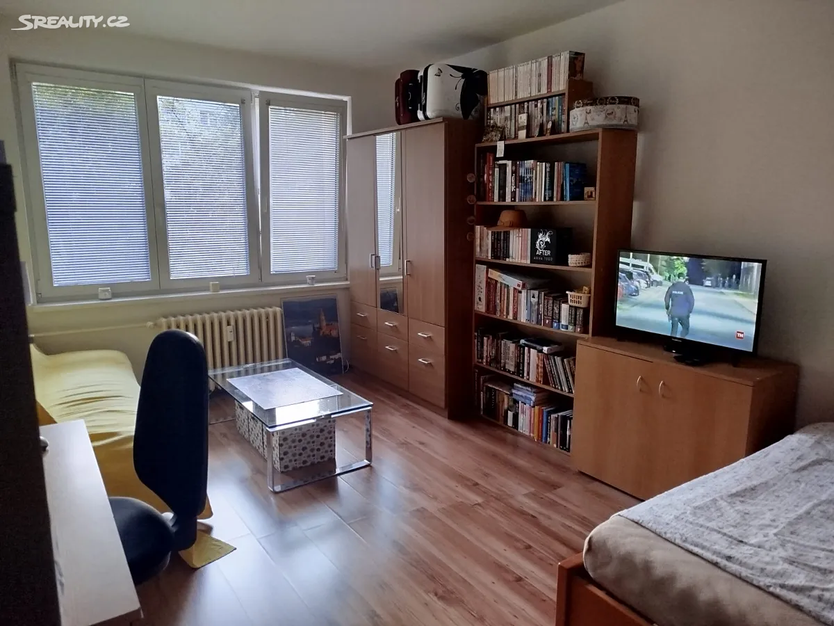 Pronájem bytu 1+1 40 m² – pohled 2