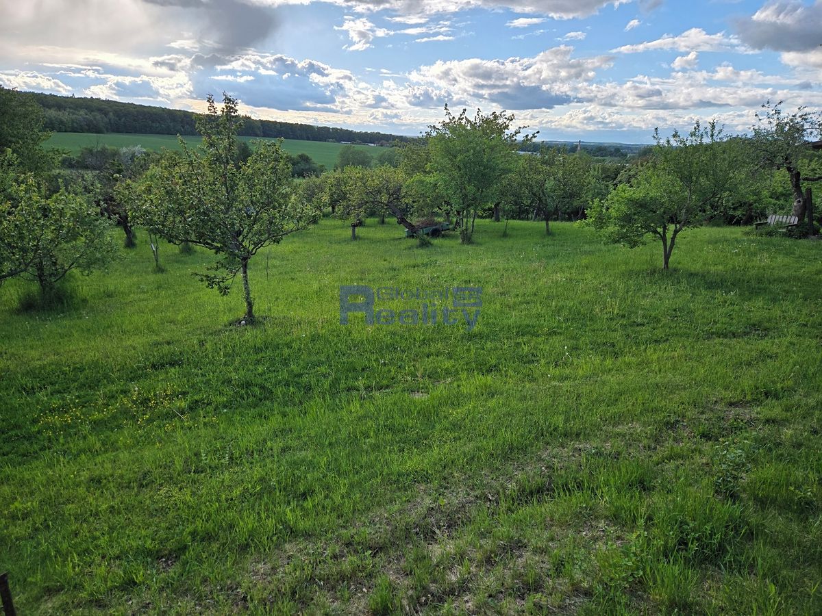 Pronájem zahrady 3673 m² – fotografie 5