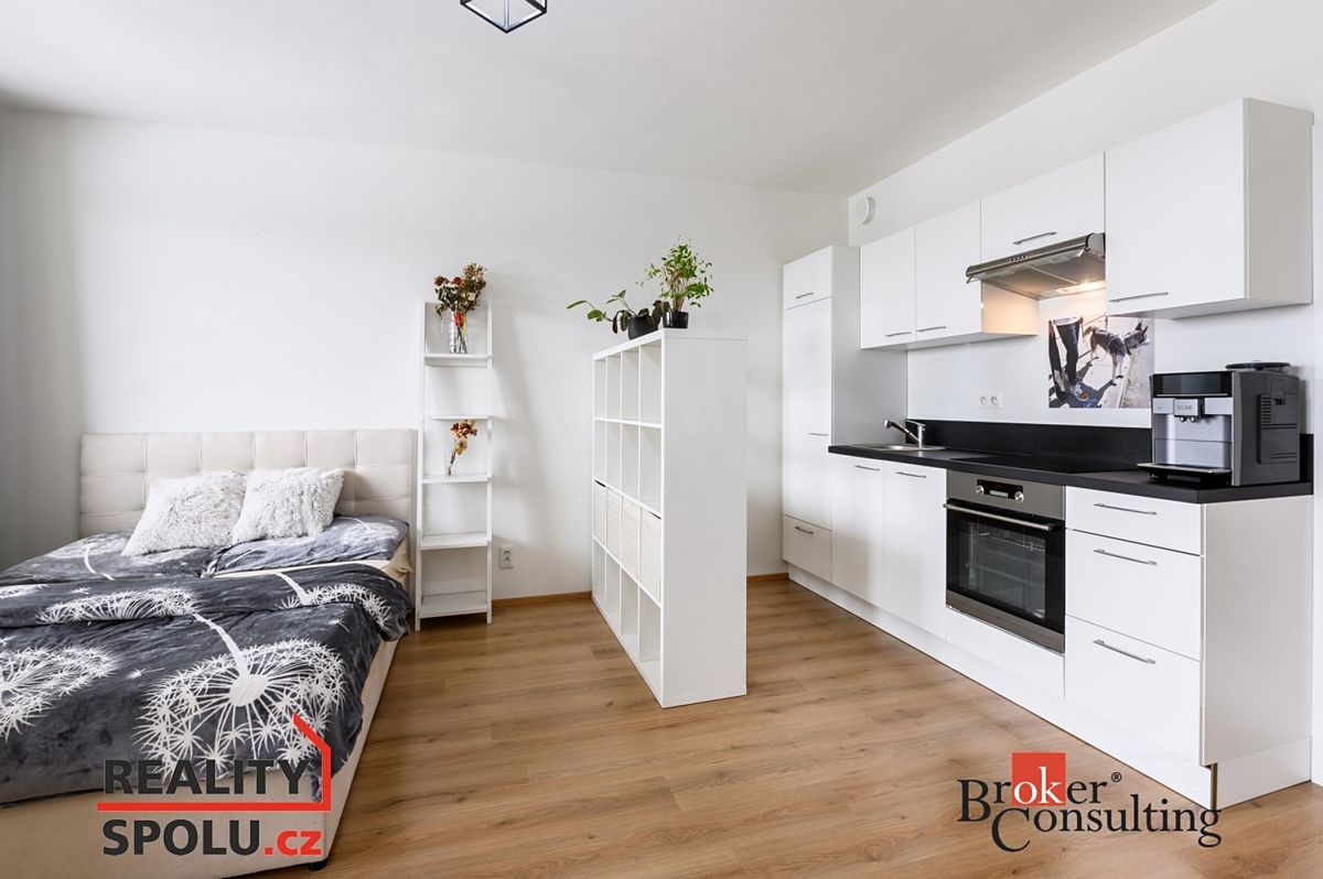 Pronájem bytu 1+kk 50 m²