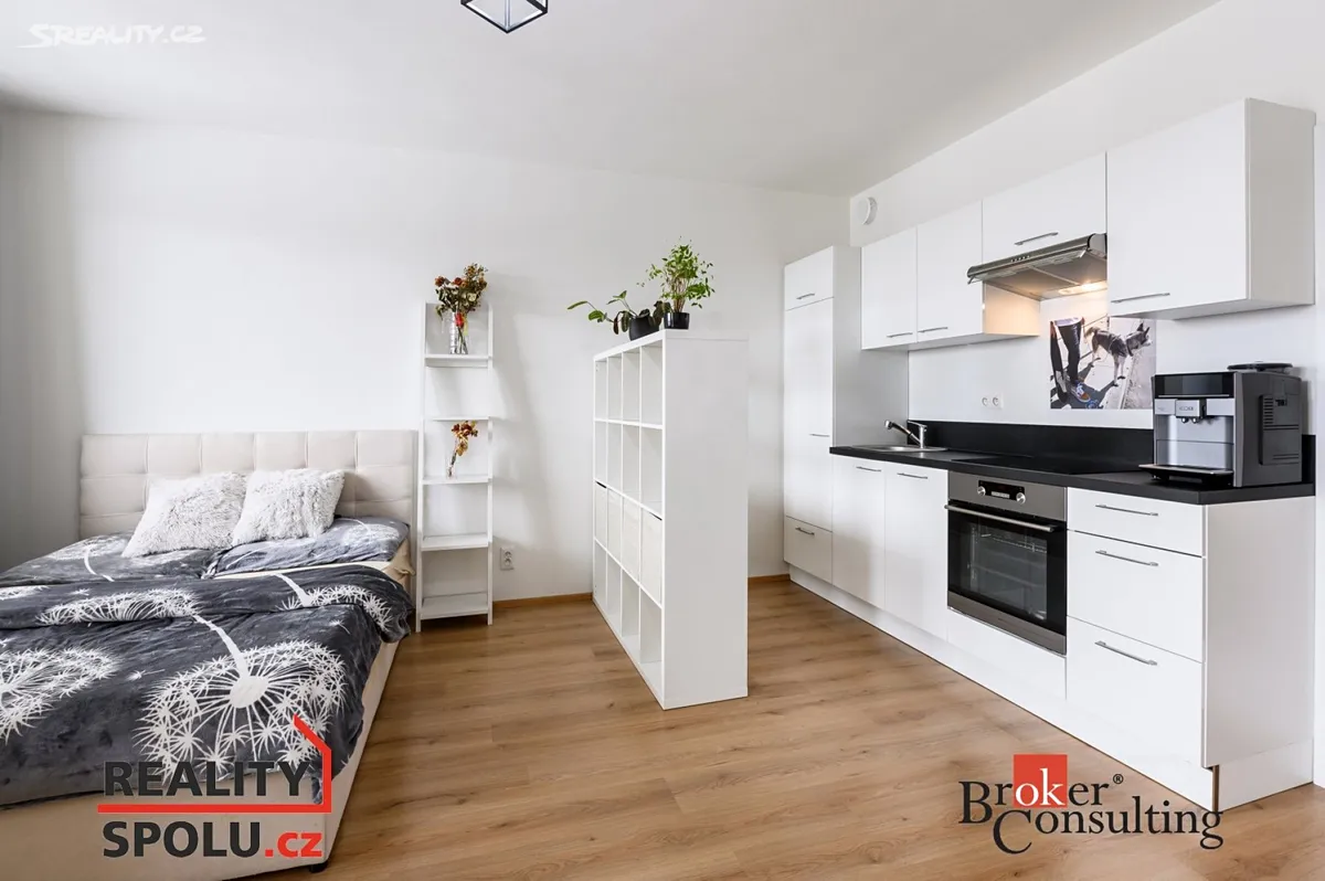 Pronájem bytu 1+kk 50 m², Plzeň