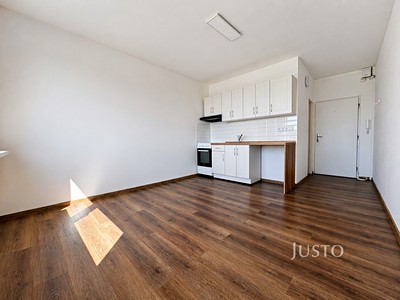 Pronájem bytu 1+1 36 m²