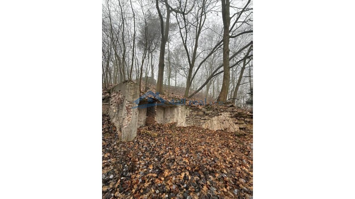 Prodej komerčního pozemku 31577 m² – fotografie 4