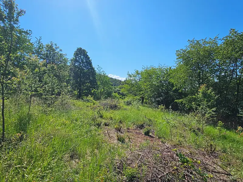 Prodej stavebního pozemku 1845 m², Letovice – náhled fotky 2