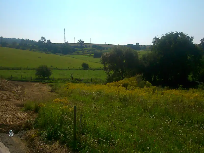 Prodej stavebního pozemku 1248 m², Kanice – náhled fotky 1