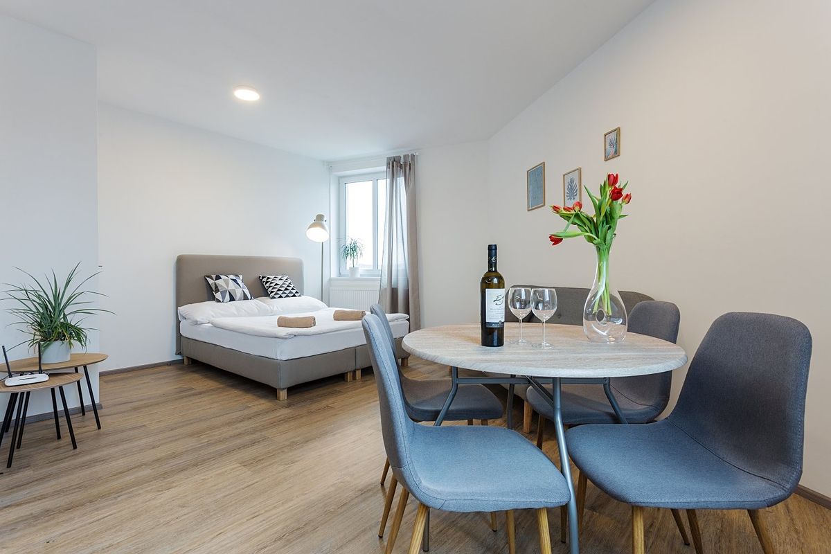 Pronájem bytu 1+kk 34 m²