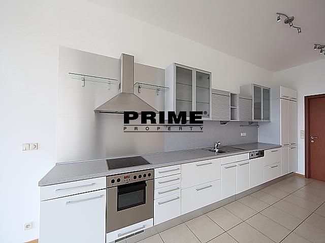 Pronájem rodinného domu 260 m², pozemek 623 m² – fotografie 4