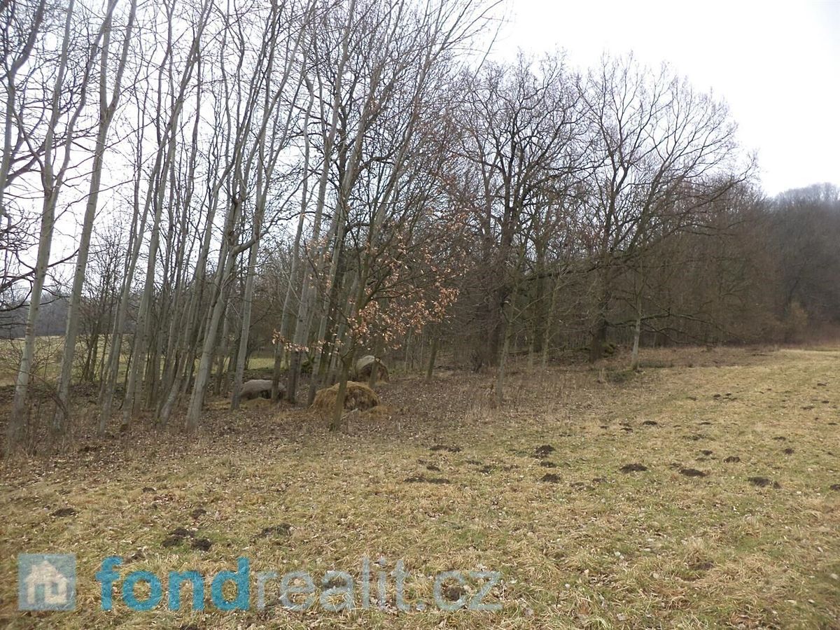 Prodej pole 5161 m² – fotografie 3
