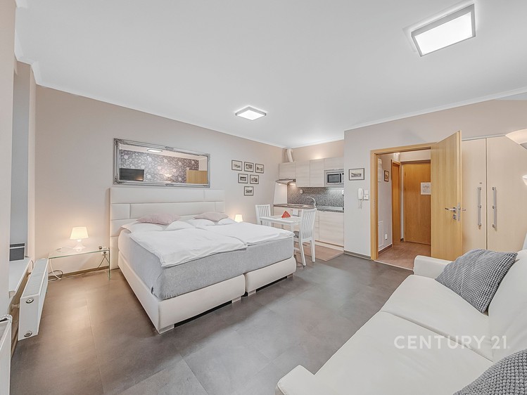 Prodej bytu 1+kk, 32 m² (3 z 13)