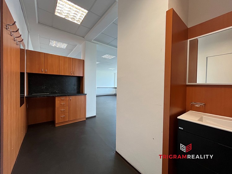 Pronájem komerčního prostoru, 113 m² (4 z 10)