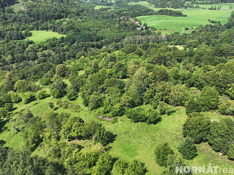 Grundstück zum Kauf, 199.287 m² (12 von 15)