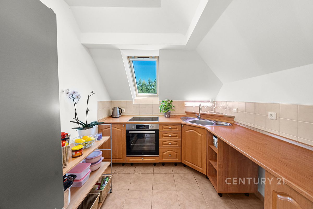 Prodej rodinného domu 166 m², pozemek 420 m² – fotografie 4