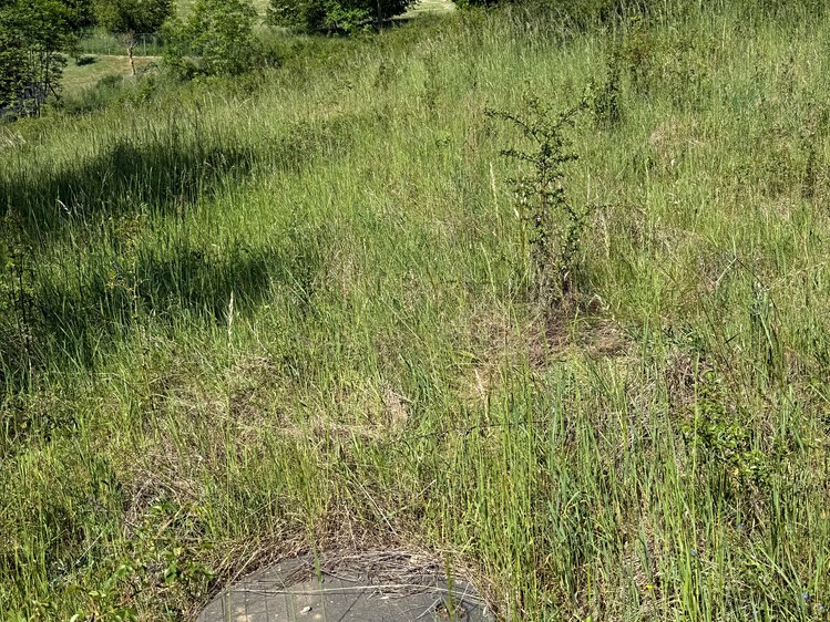 Grundstück zum Kauf, 1.770 m² (6 von 7)
